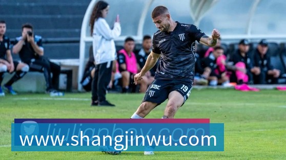 阿纳西对亚眠比分预测：历史交锋与近期状态深度解析