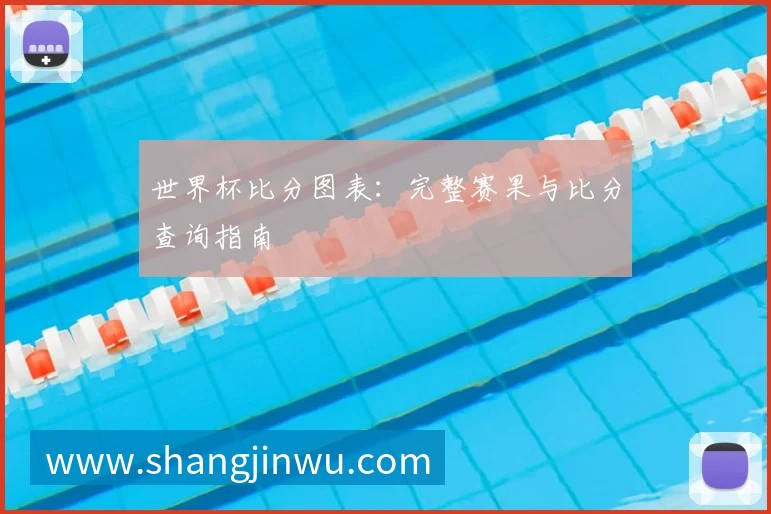 世界杯比分图表：完整赛果与比分查询指南